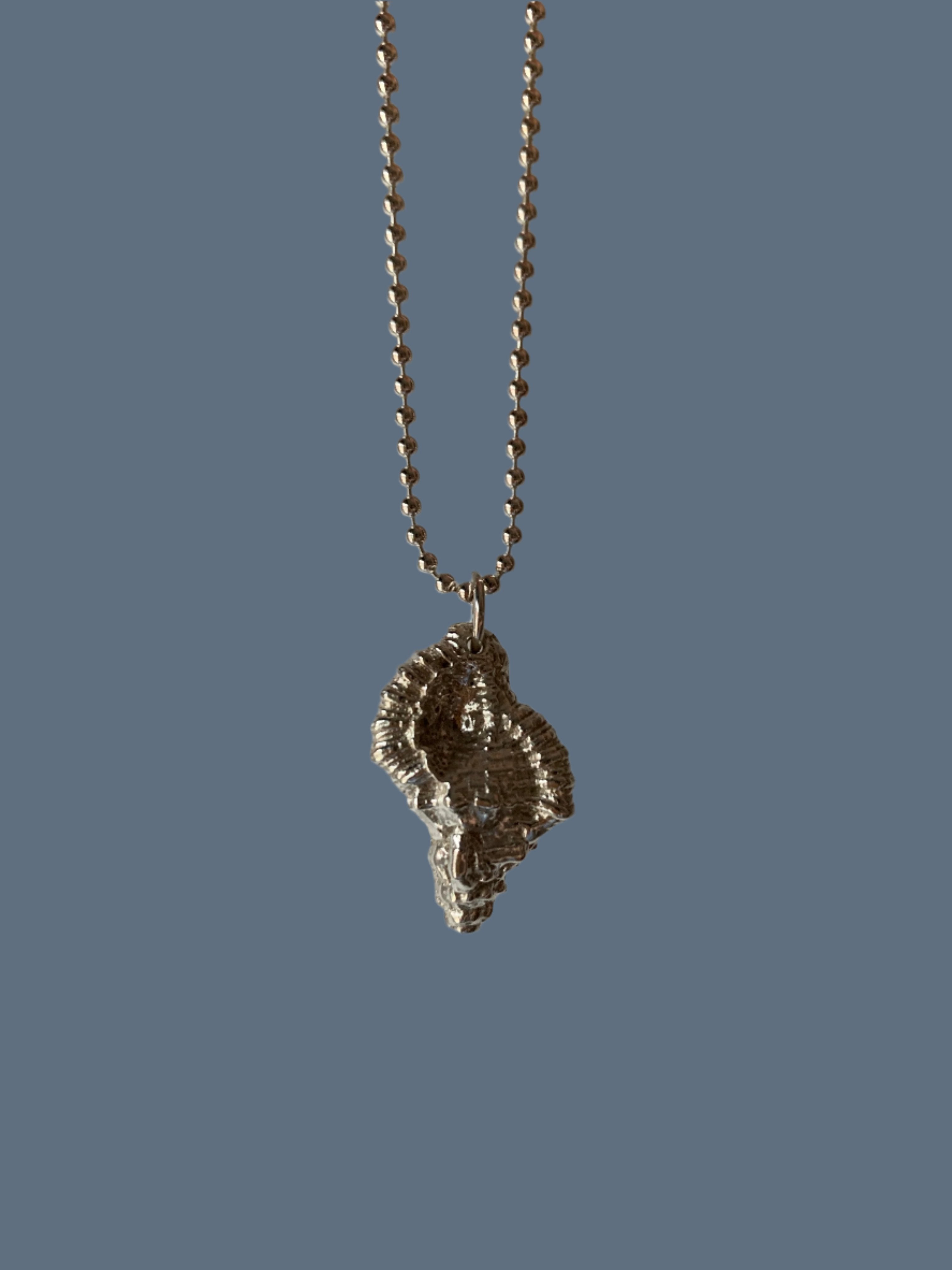 Murex shell pendant